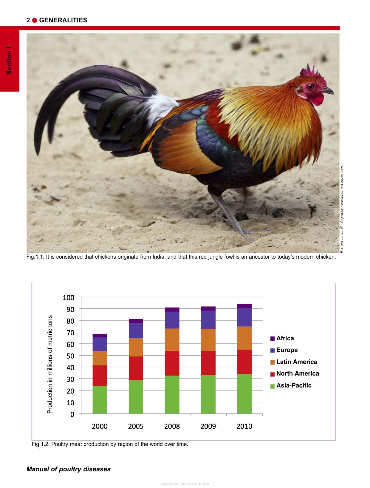 Manual Of Poultry Diseases