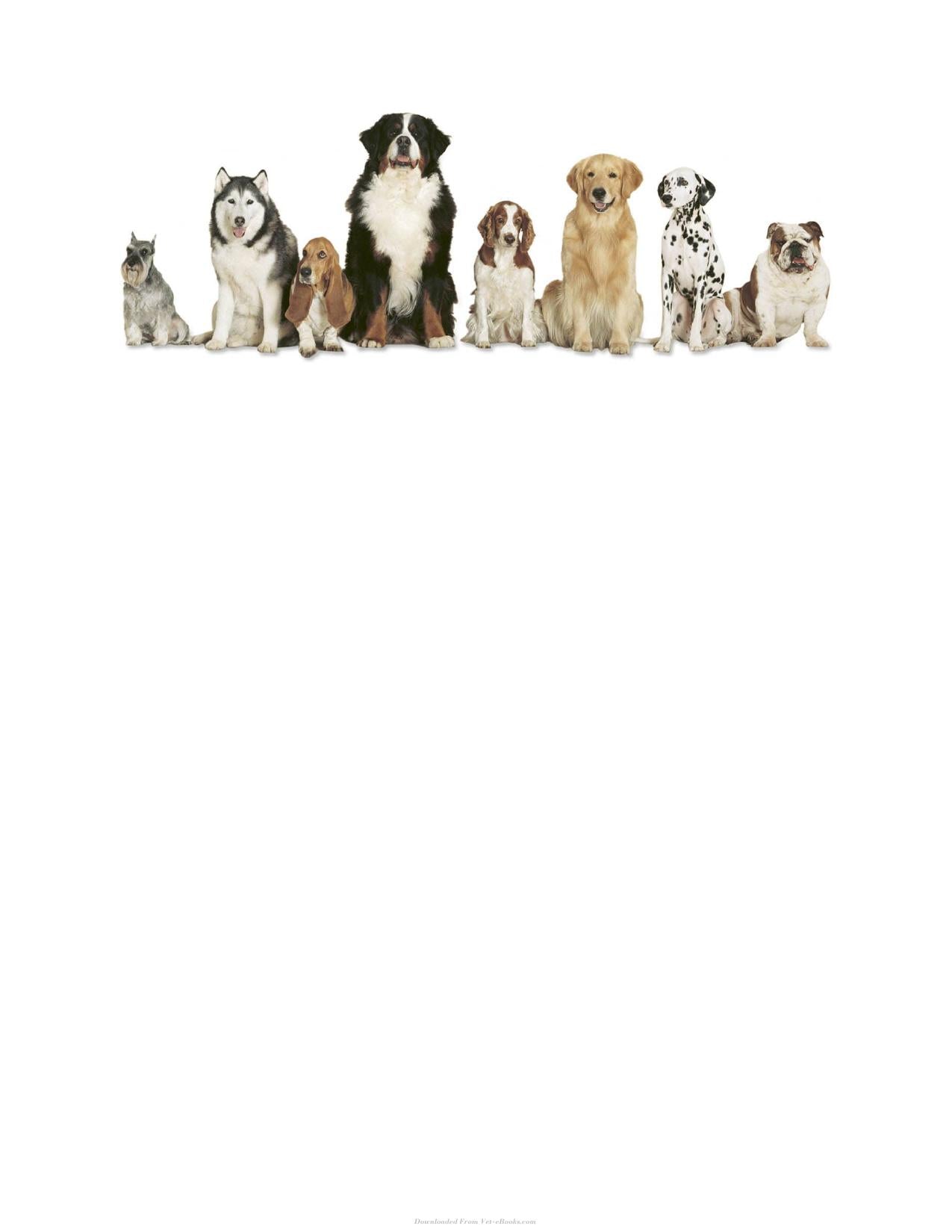 The Right Dog For You