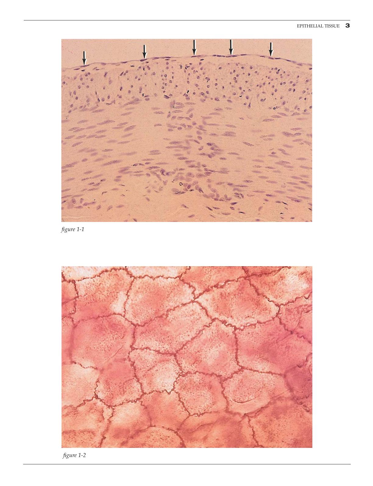 Look inside — page 9