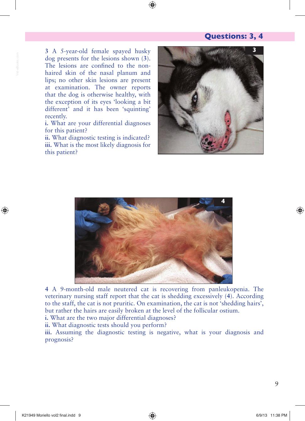 Small Animal Dermatology Advanced Cases Self Assessment Color Review