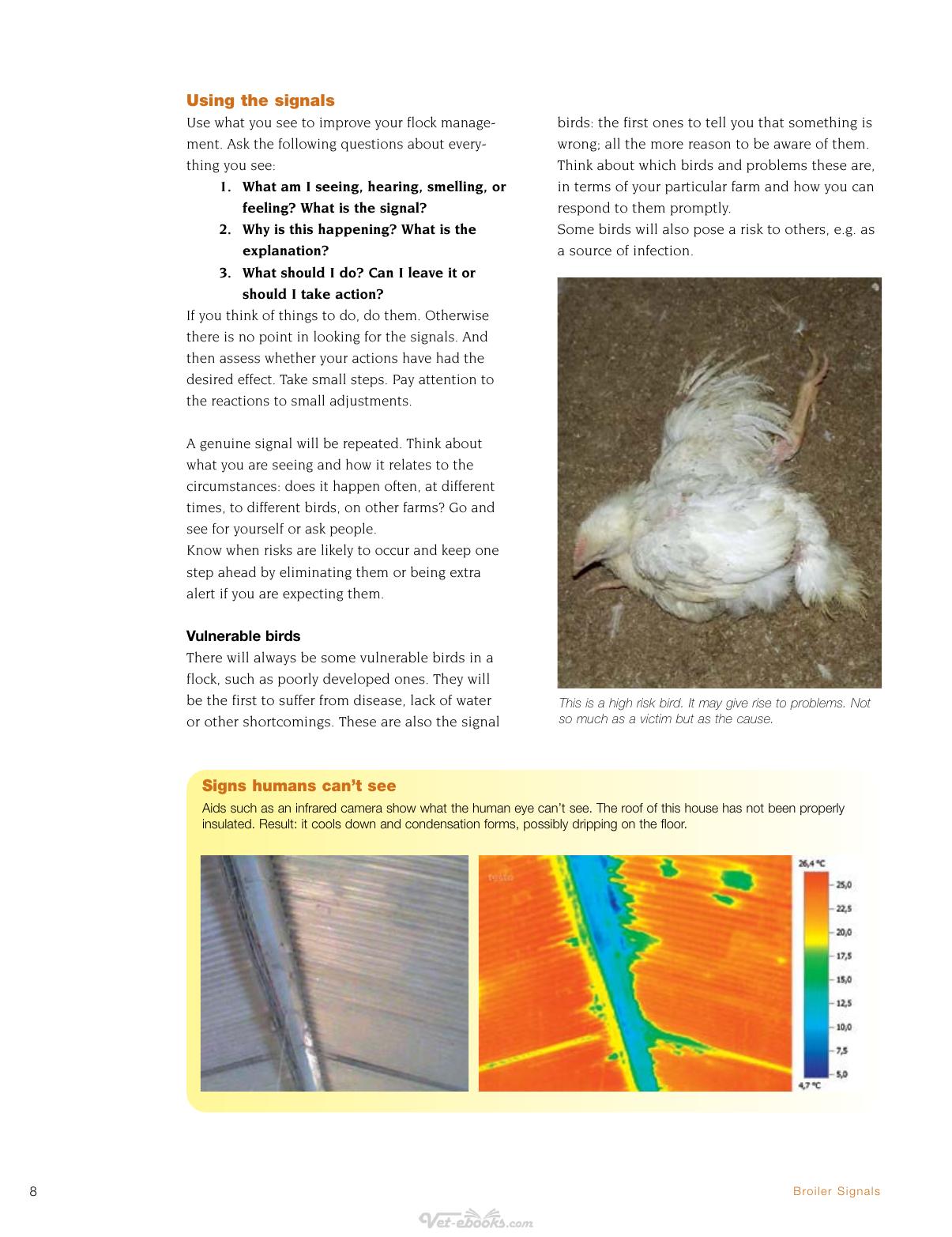 Broiler Signals A Practical Guide To Broiler Focused Management