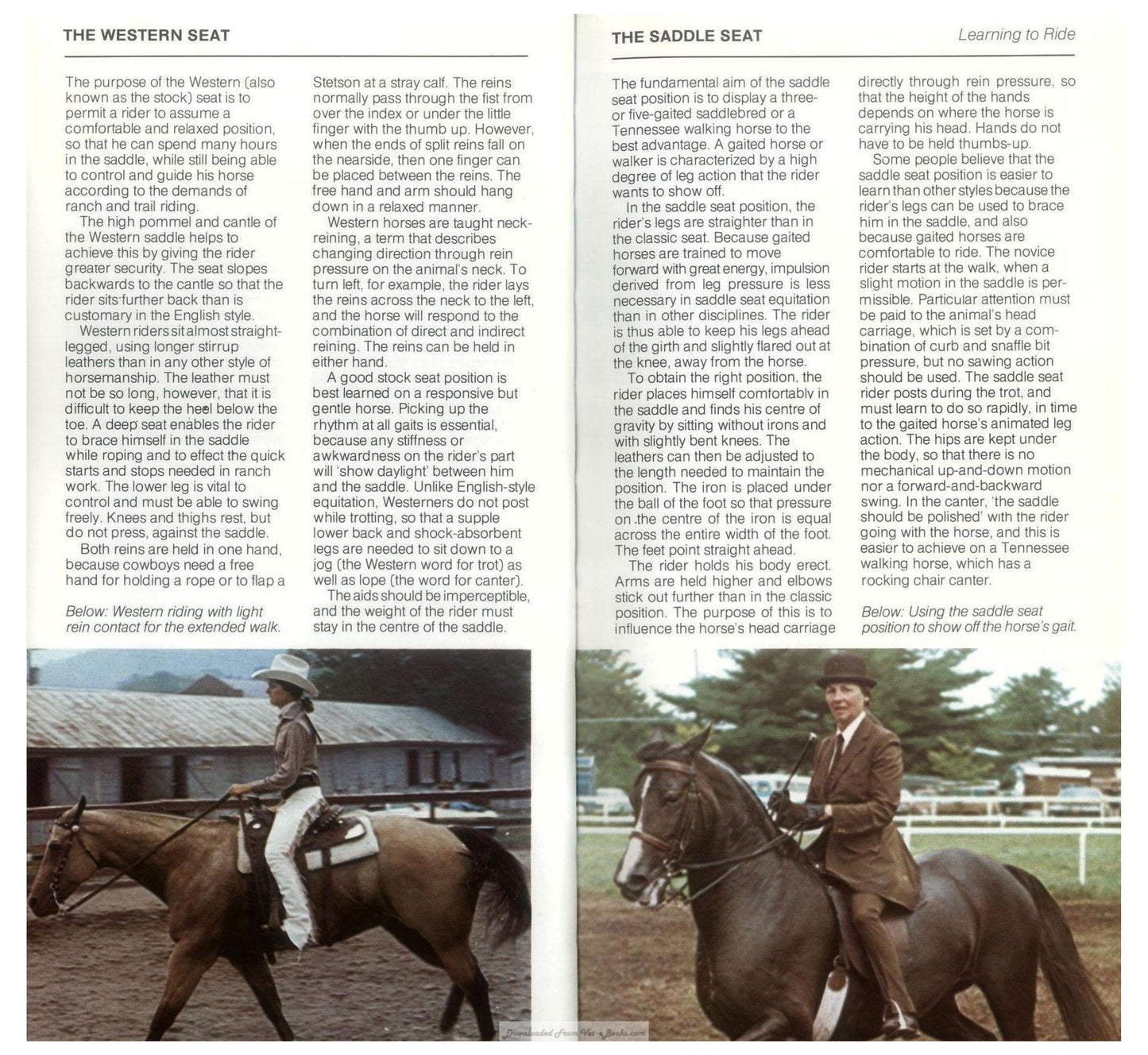 Young Riders Guide To Horse And Pony Care