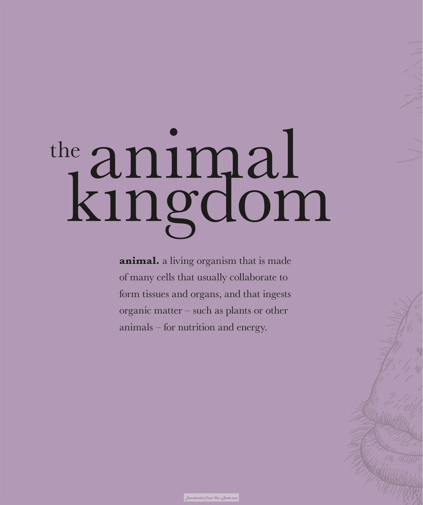 The Science Of Animals Inside Their Secret World