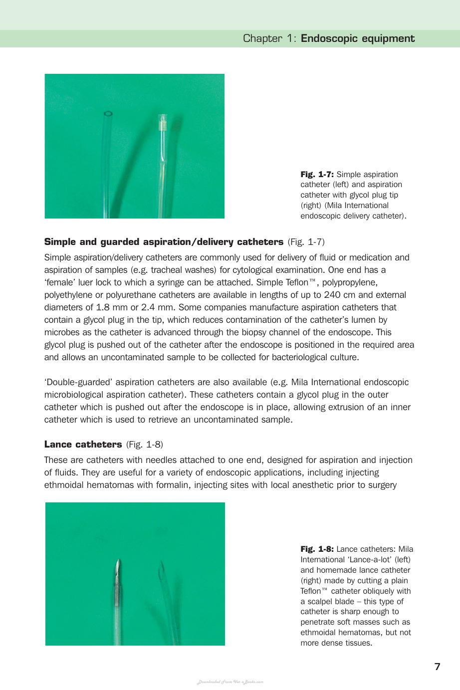 Handbook Of Equine Respiratory Endoscopy