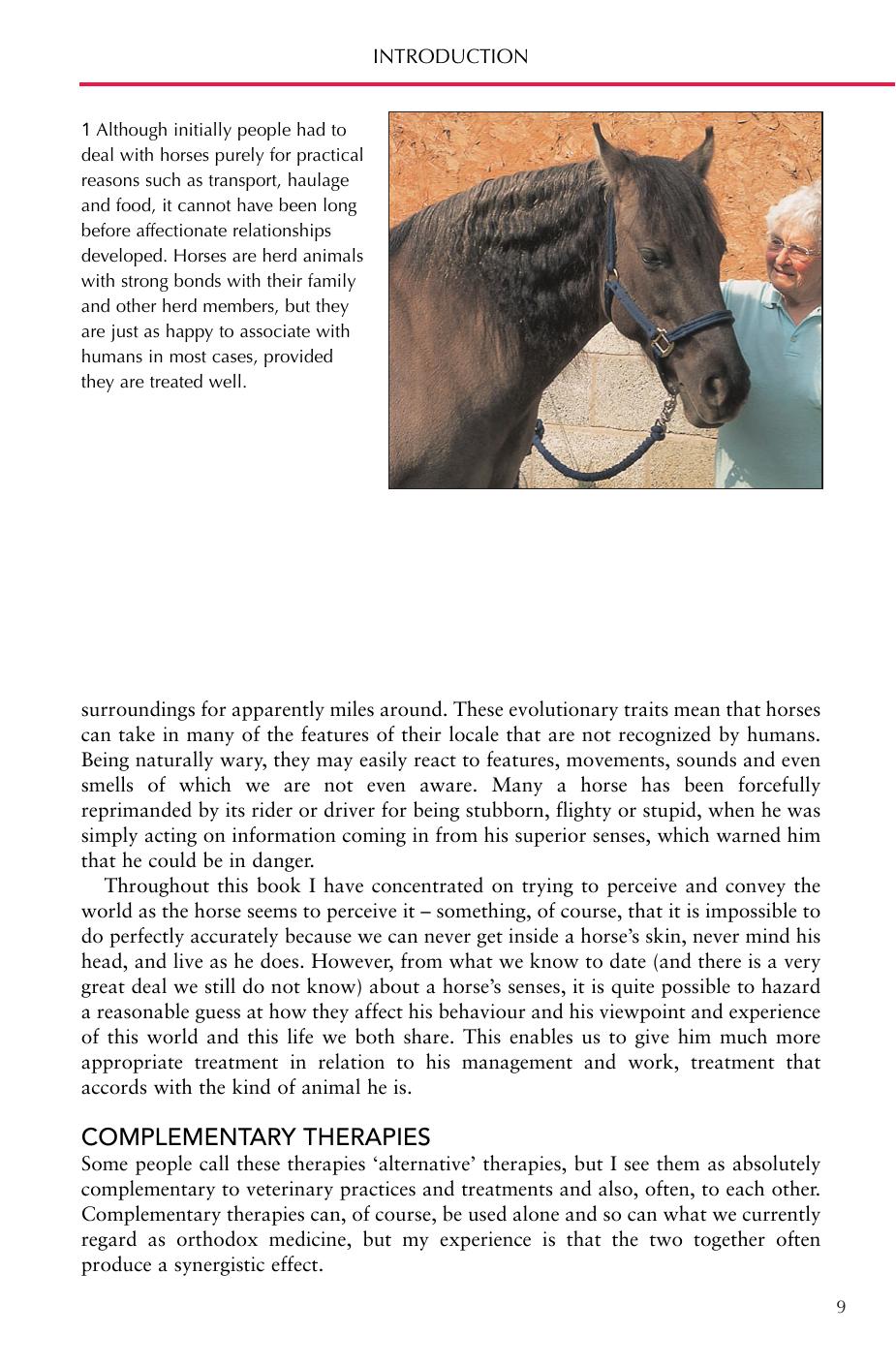 Horse Senses