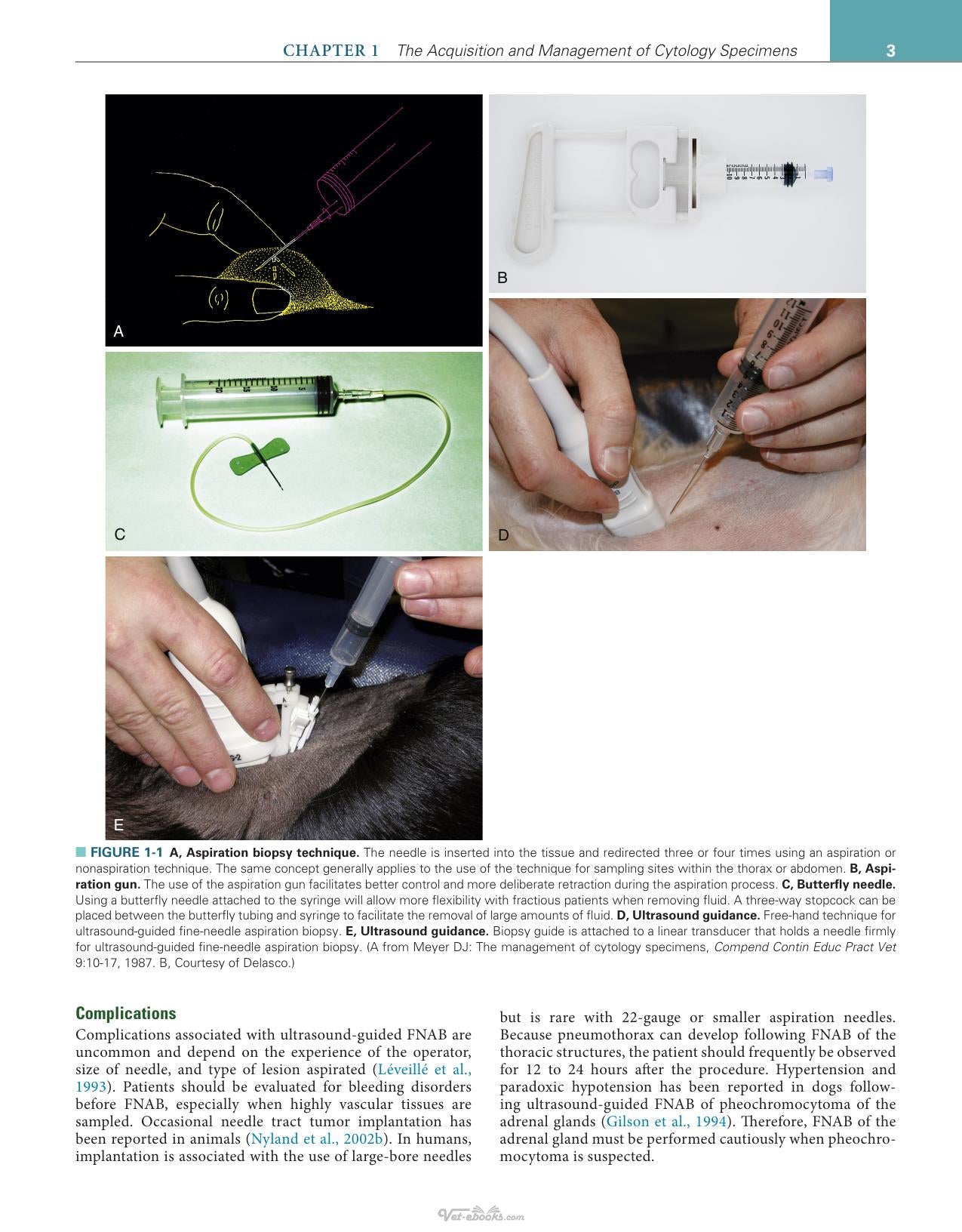 Canine And Feline Cytology A Color Atlas And Interpretation Guide 3Rd Edition