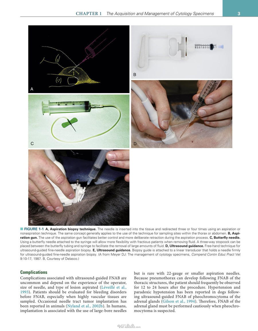 Preview page of Canine and Feline Cytology a Color Atlas and Interpretation Guide 3rd Edition