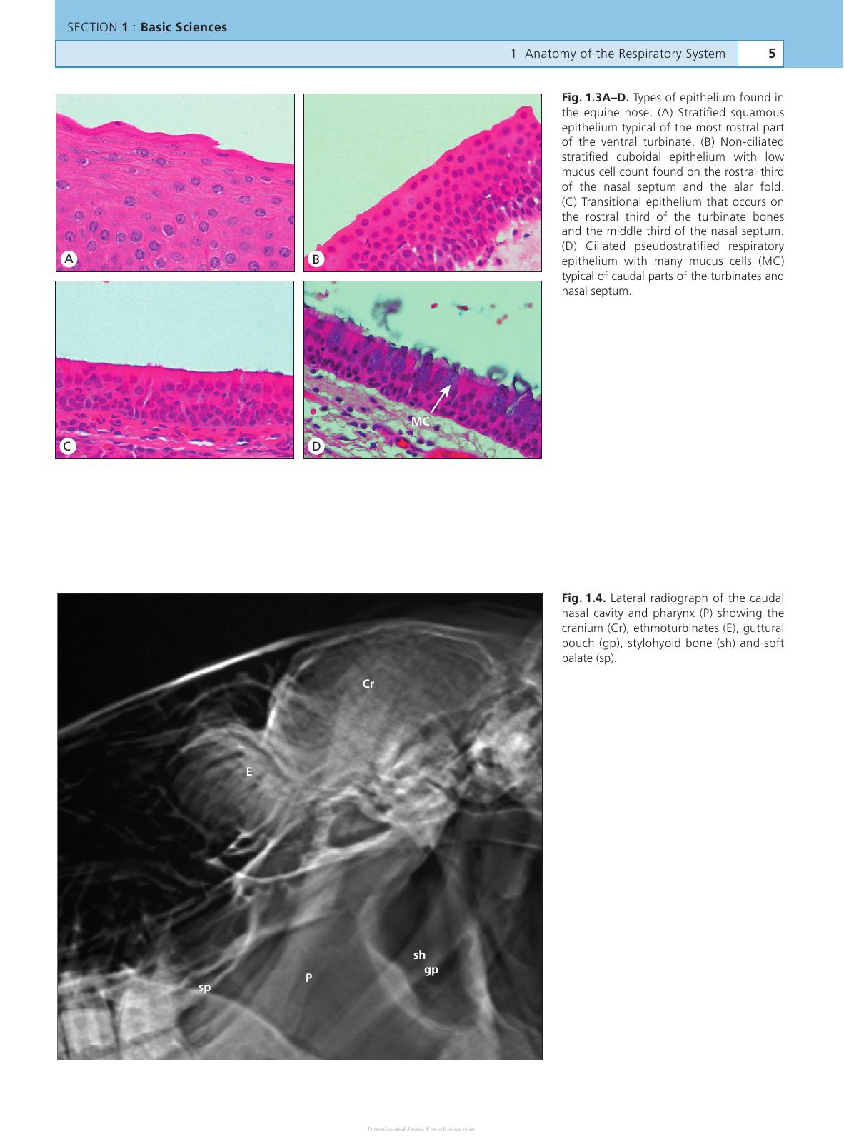 Look inside — page 10