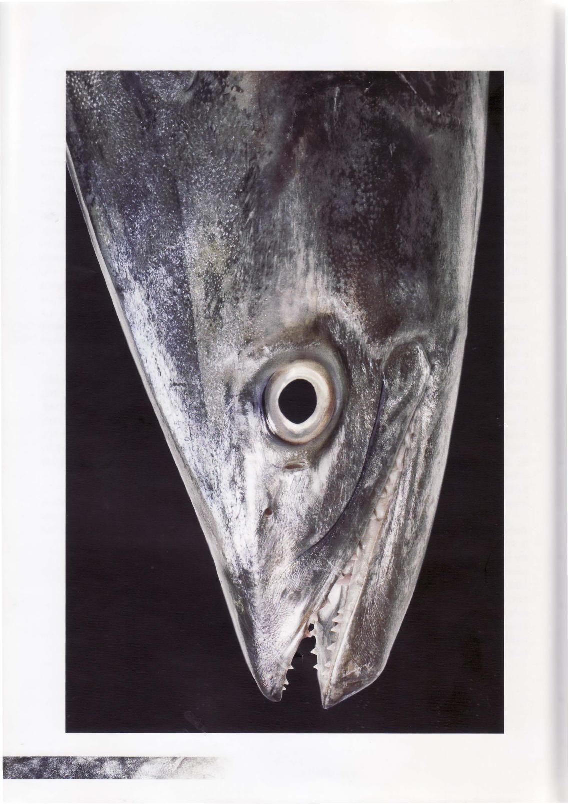 Systemic Pathology Of Fish A Text And Atlas Of Normal Tissues In Teleosts And Their Response In Disease 2nd Edition