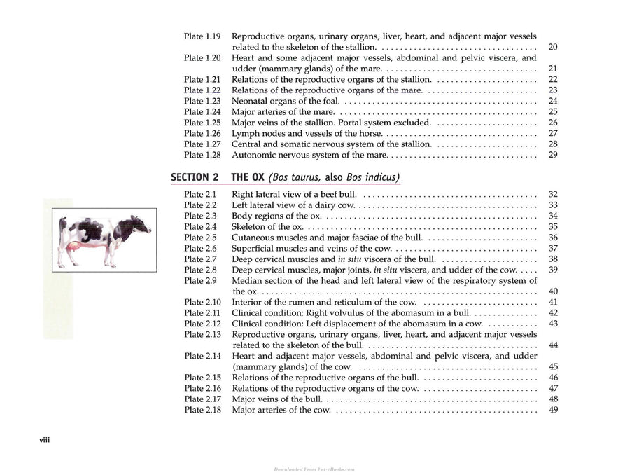 Preview page of Spurgeon's Color Atlas of Large Animal Anatomy: The Essentials
