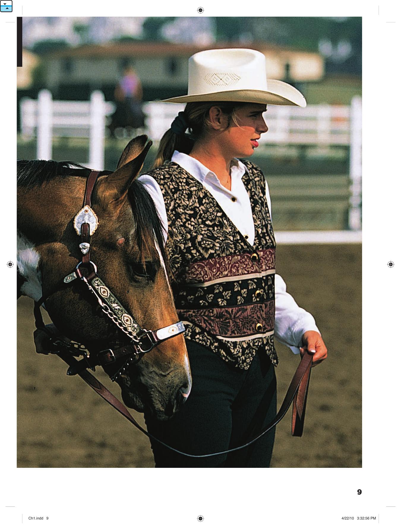 Caring For Your Horse