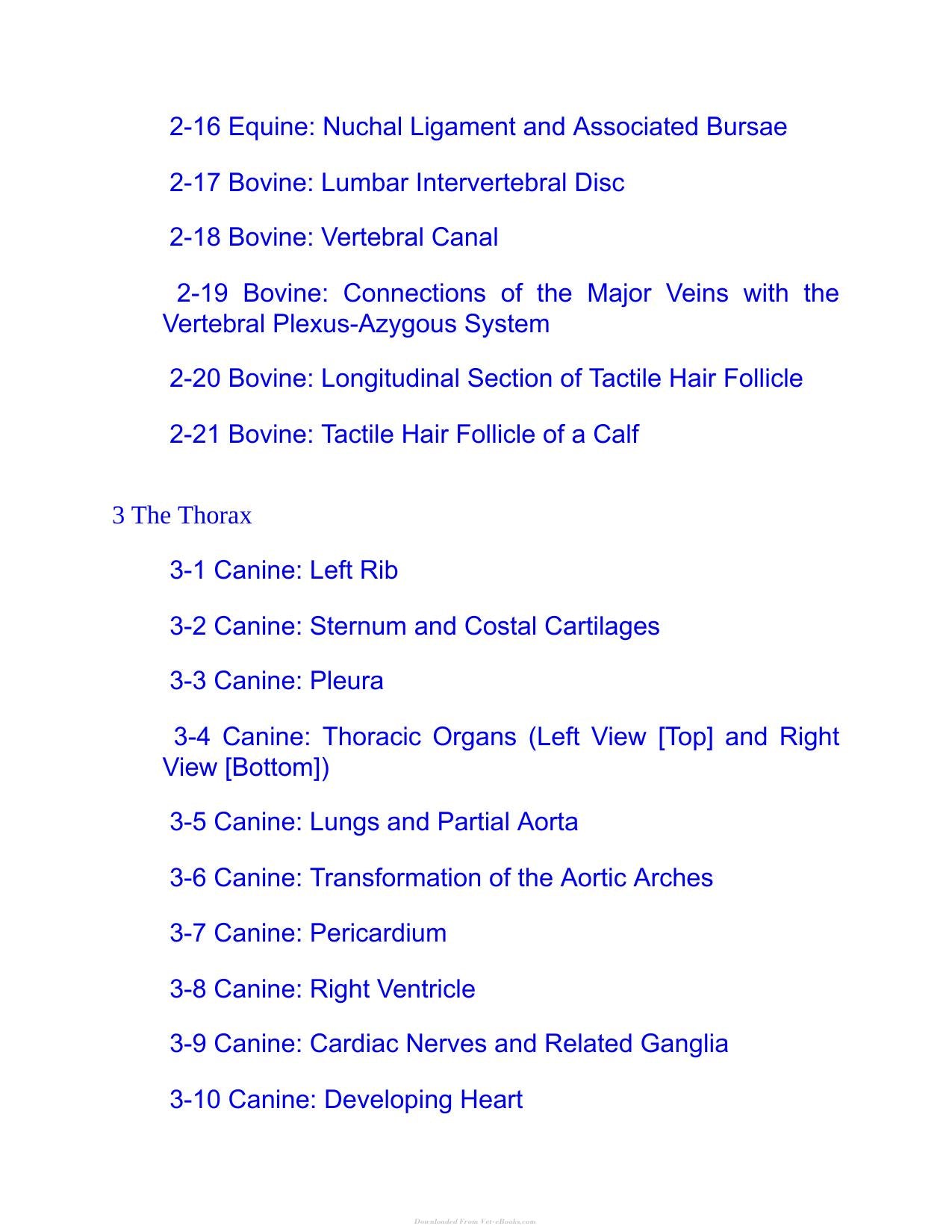 Saunders Veterinary Anatomy Flash Cards 2Nd Edition