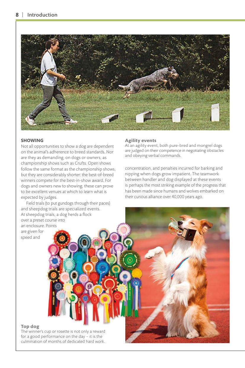 Dogs Dk Handbooks