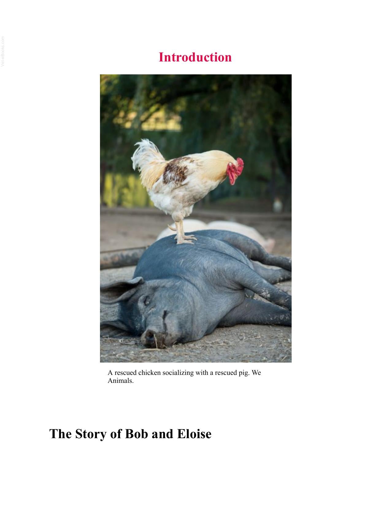 Saving Animals Multispecies Ecologies Of Rescue And Care