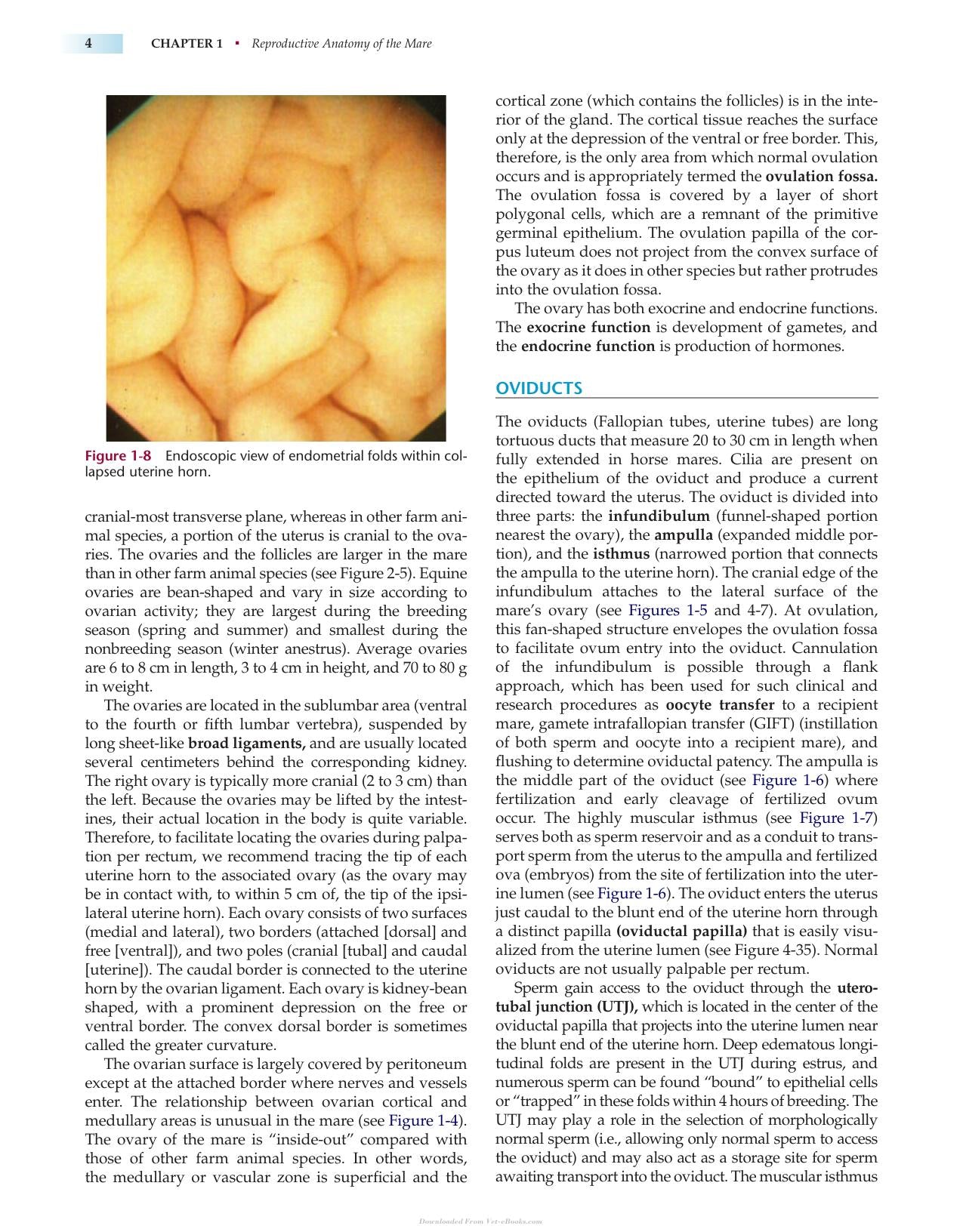 Manual Of Equine Reproduction 3Rd Edition