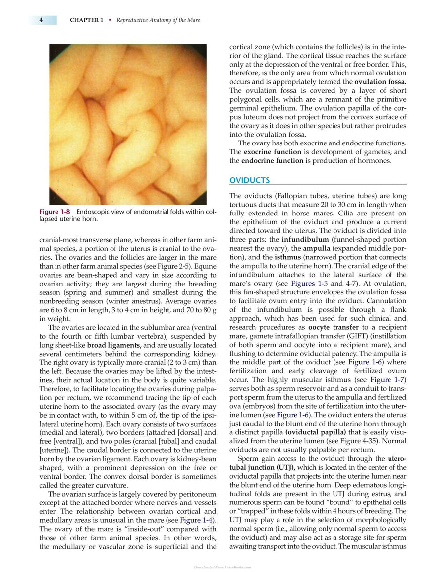 Preview page of Manual of Equine Reproduction 3rd Edition