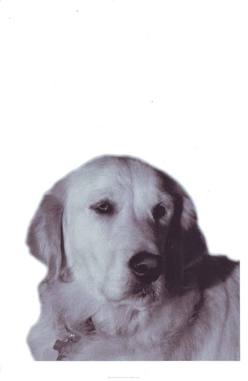 Dermatology For The Small Animal Practitioner