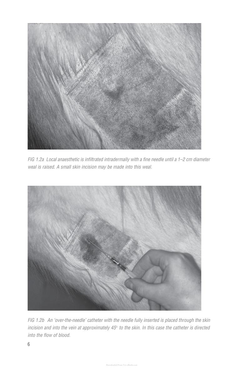 Handbook Of Equine Anaesthesia 2Nd