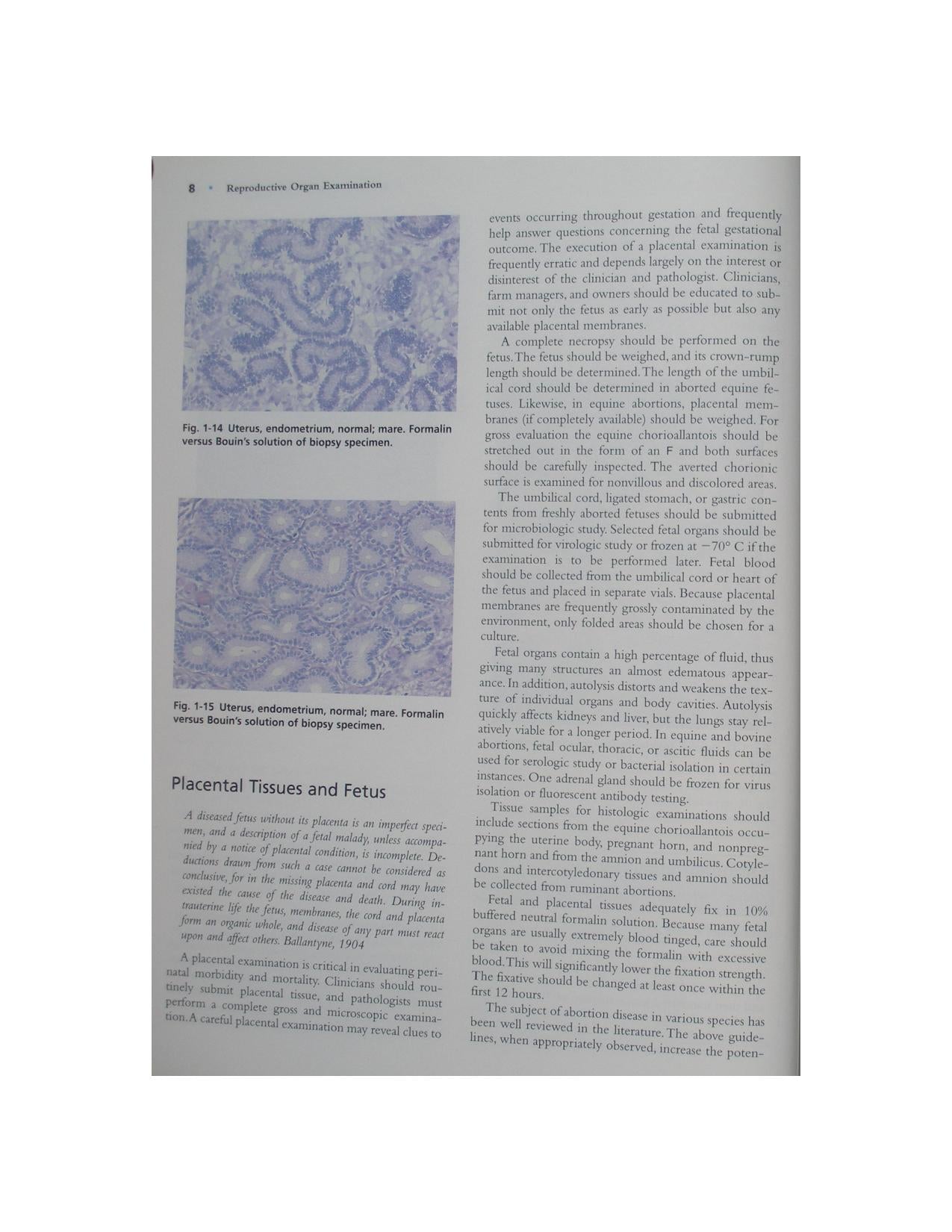 Color Atlas Of Reproductive Pathology Of Domestic Animals