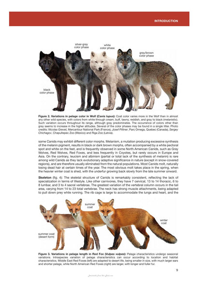 Canids of the World Wolves Wild Dogs Foxes Jackals Coyotes and Their Relatives
