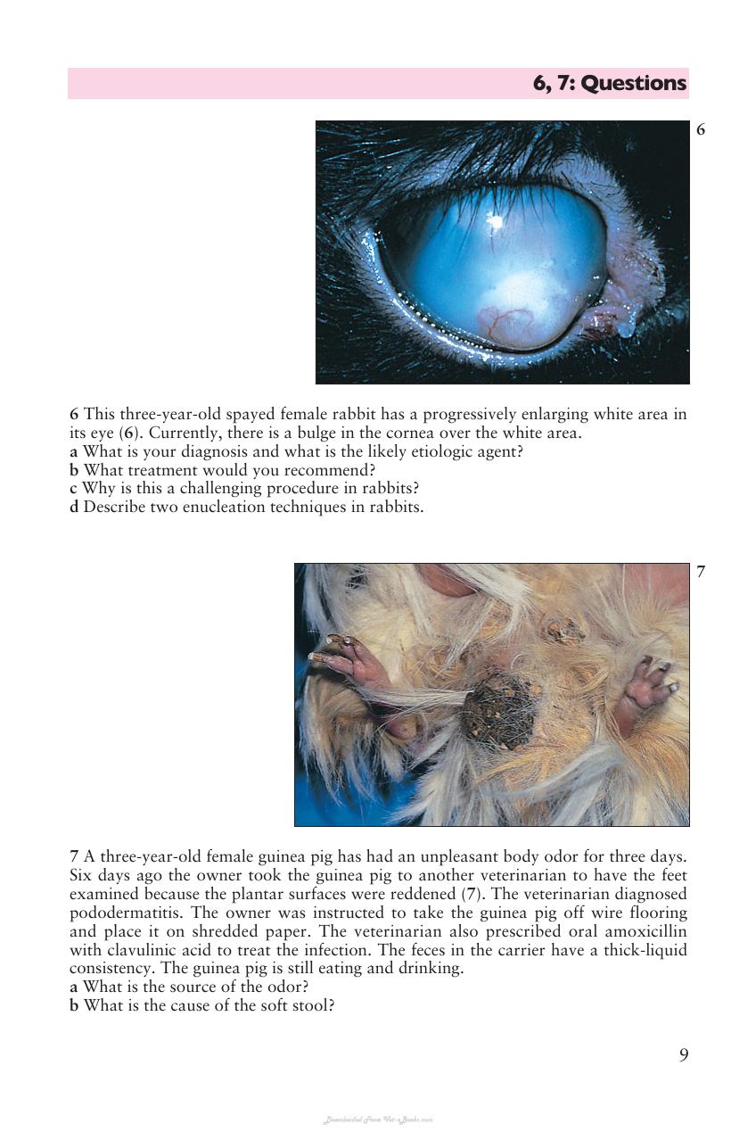 Look inside — page 10