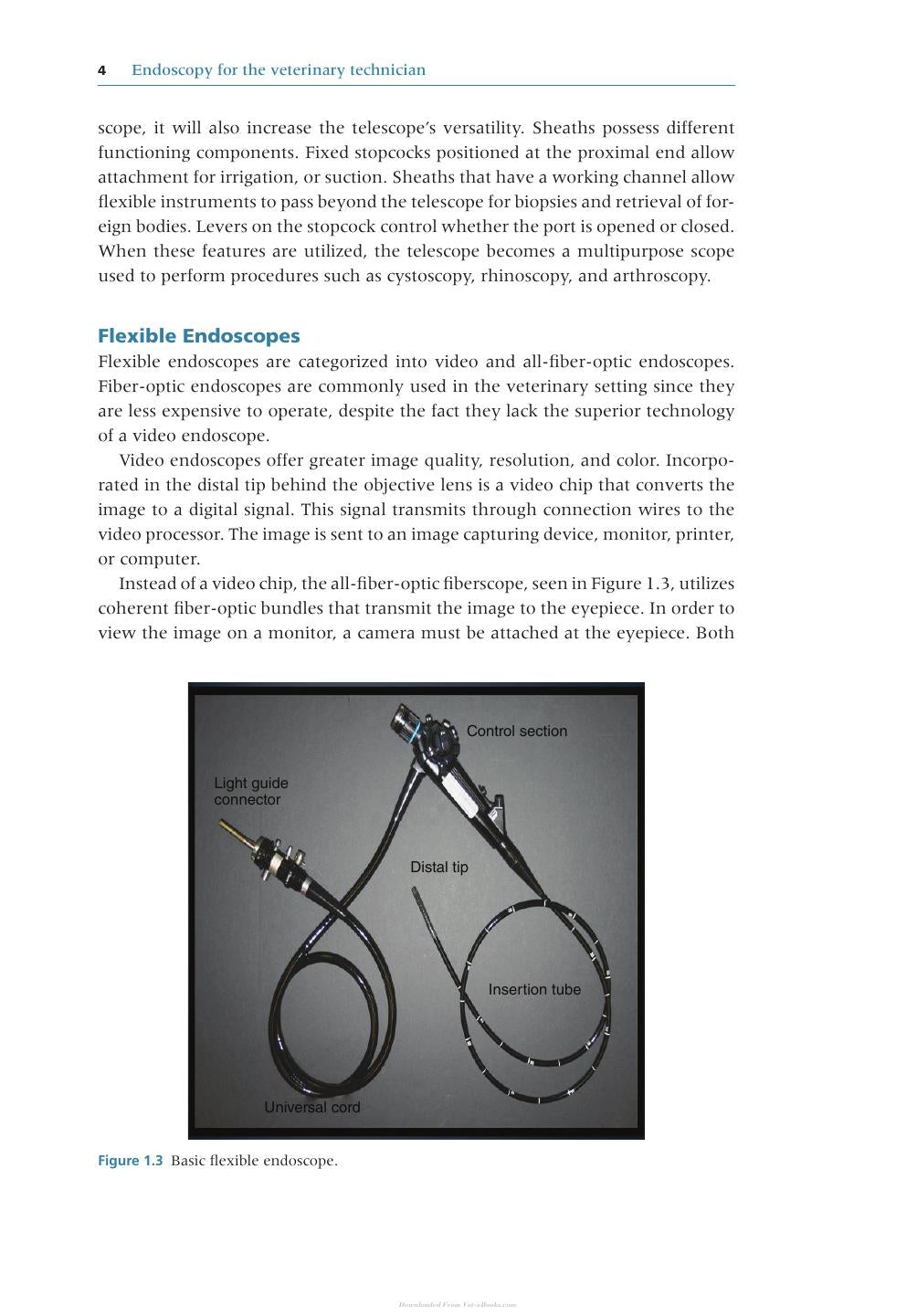 Endoscopy For The Veterinary Technician