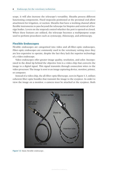 Endoscopy for the Veterinary Technician