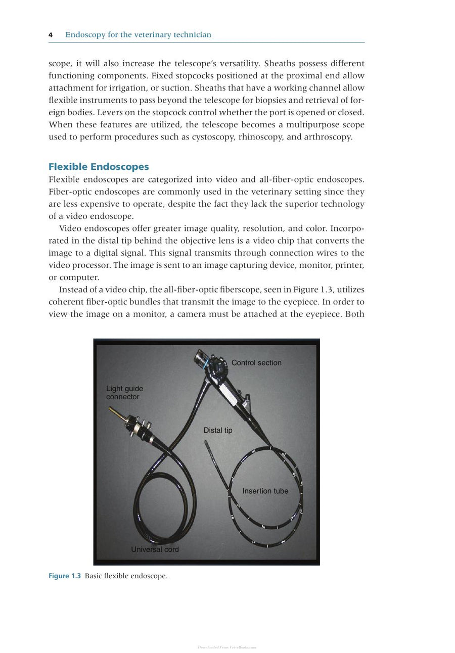 Preview page of Endoscopy for the Veterinary Technician