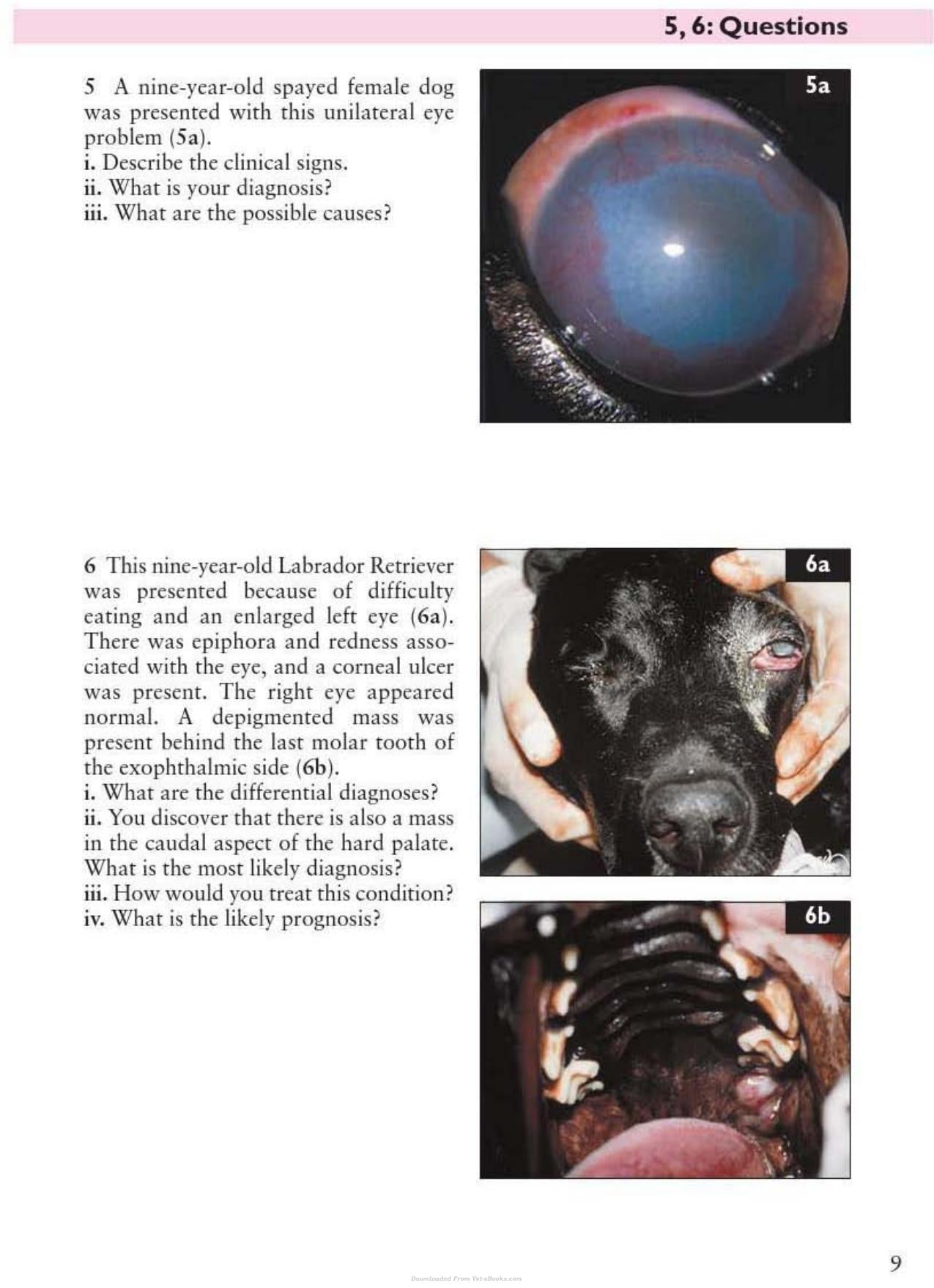 Look inside — page 10
