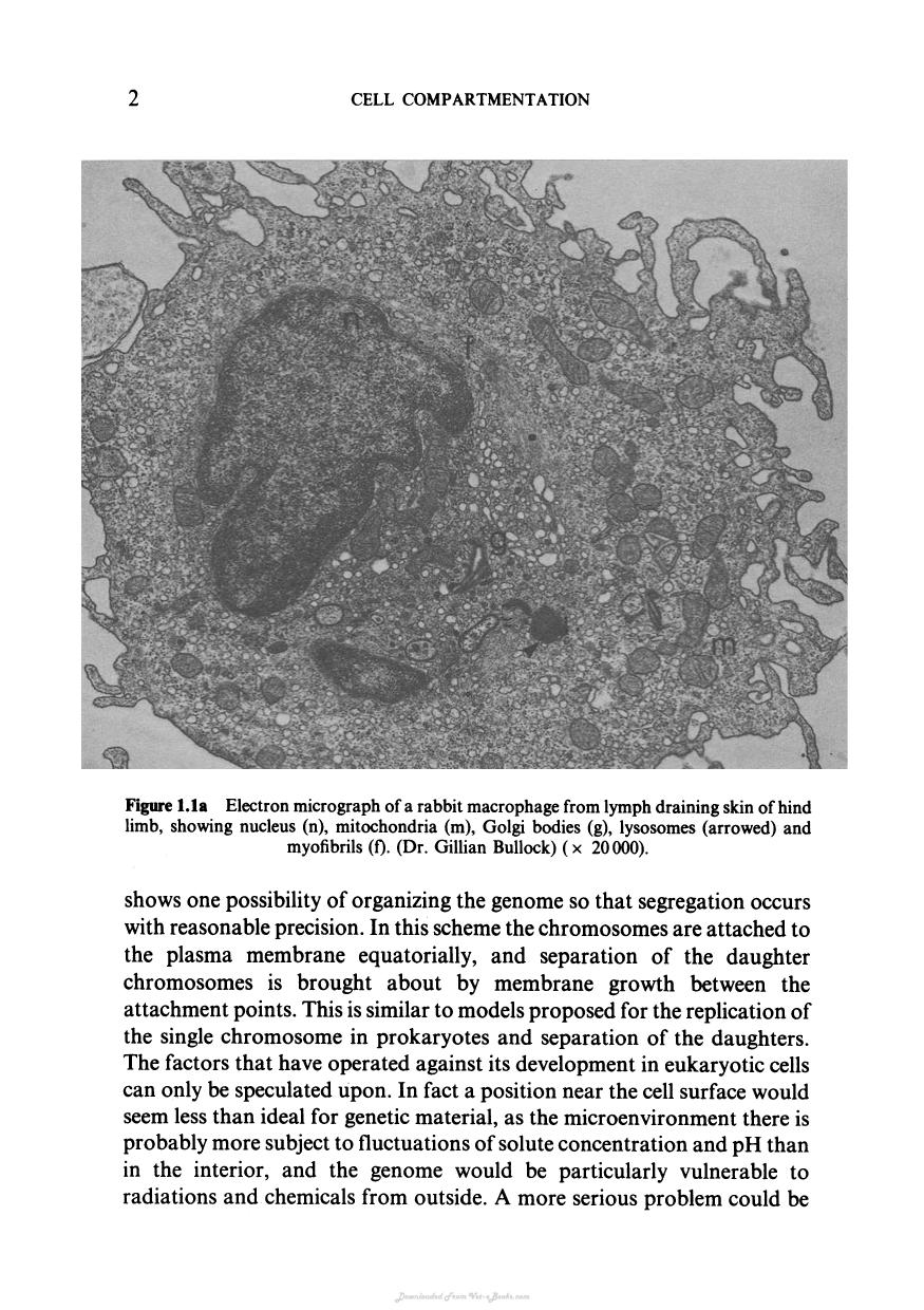 Biochemistry And Structure Of Cell Organelle