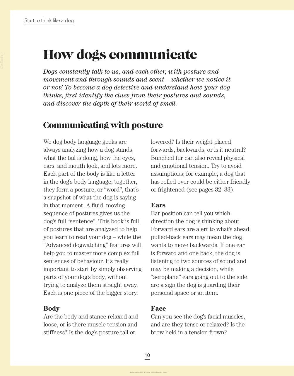 Whats My Dog Thinking Understand Your Dog To Give Them A Happy Life
