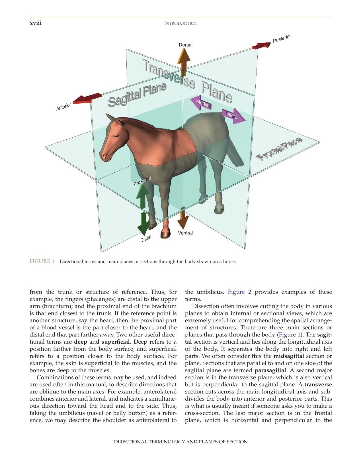 The Dissection Of Vertebrates 2Nd Edition