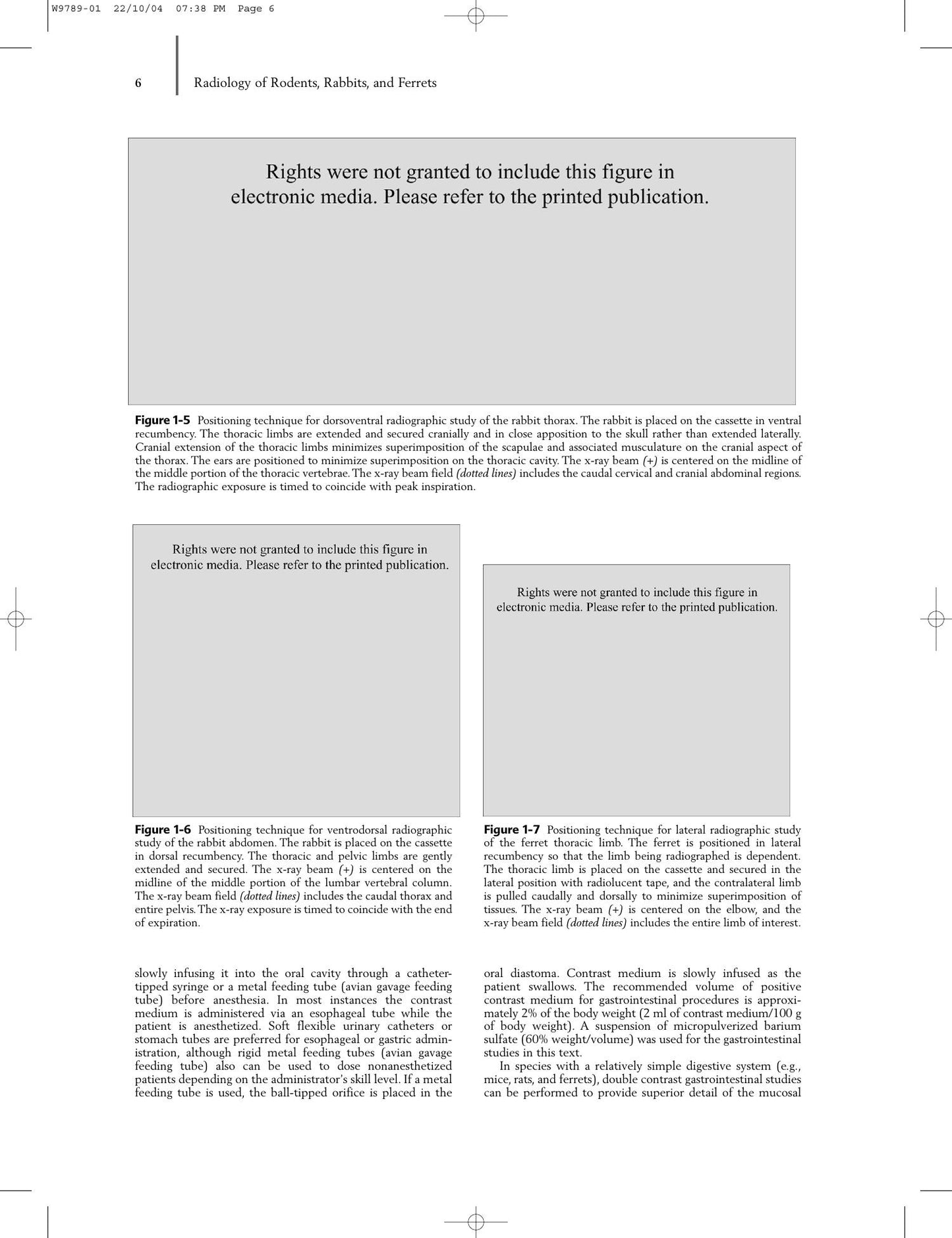 Radiology Of Rodents Rabbits And Ferrets An Atlas Of Normal Anatomy And Positioning