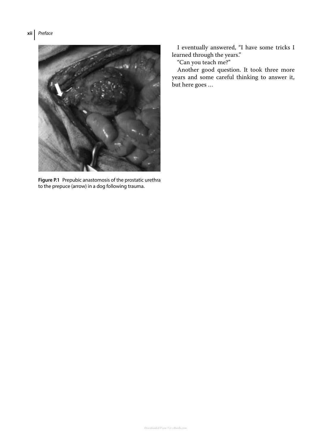 Pitfalls In Veterinary Surgery