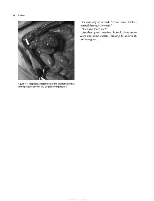 Pitfalls In Veterinary Surgery