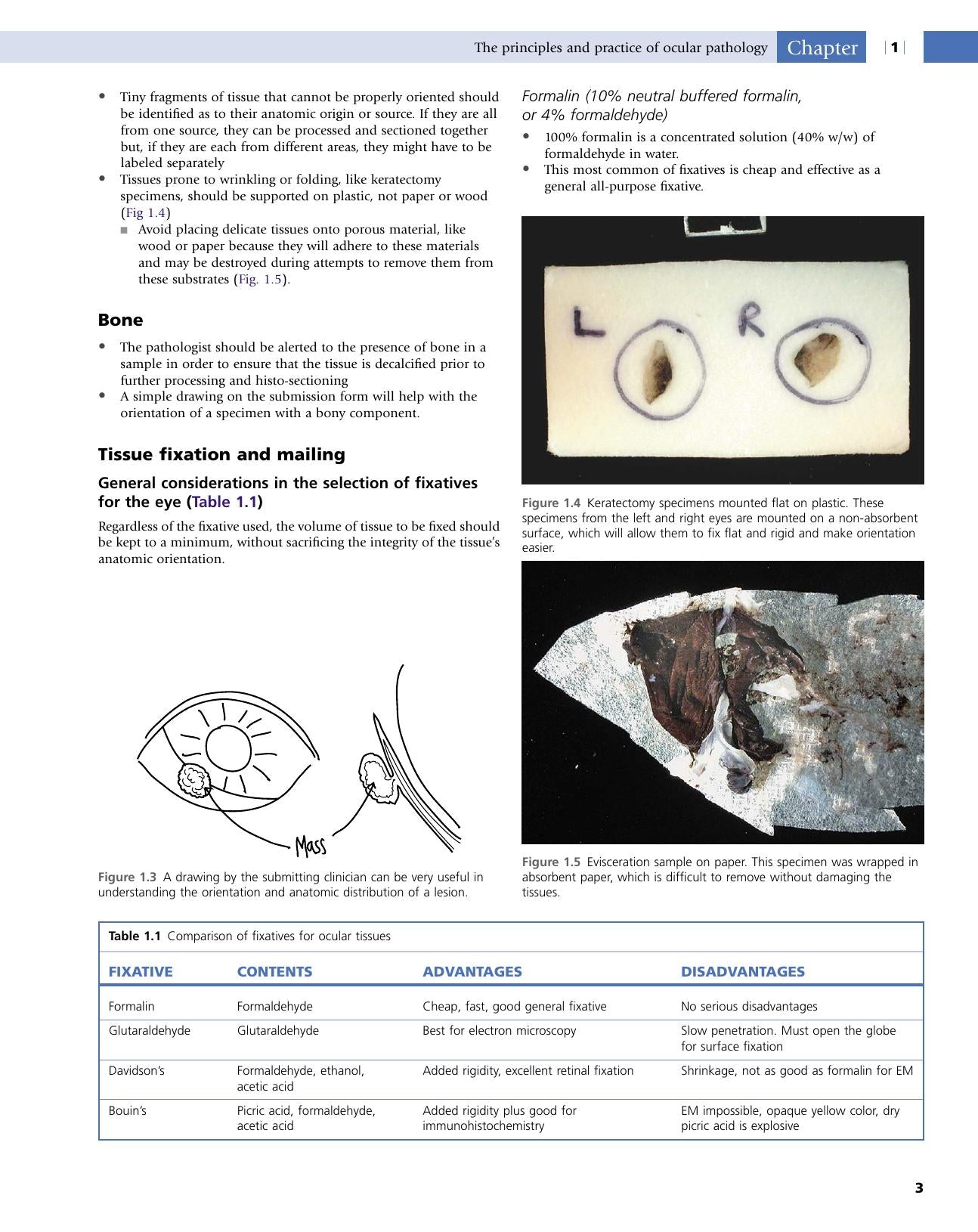 Veterinary Ocular Pathology A Comparative Review