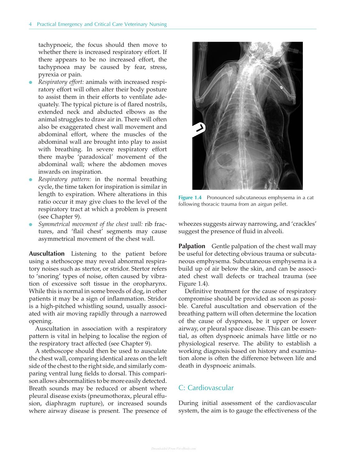 Practical Emergency And Critical Care Veterinary Nursing