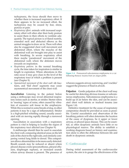 Practical Emergency and Critical Care Veterinary Nursing
