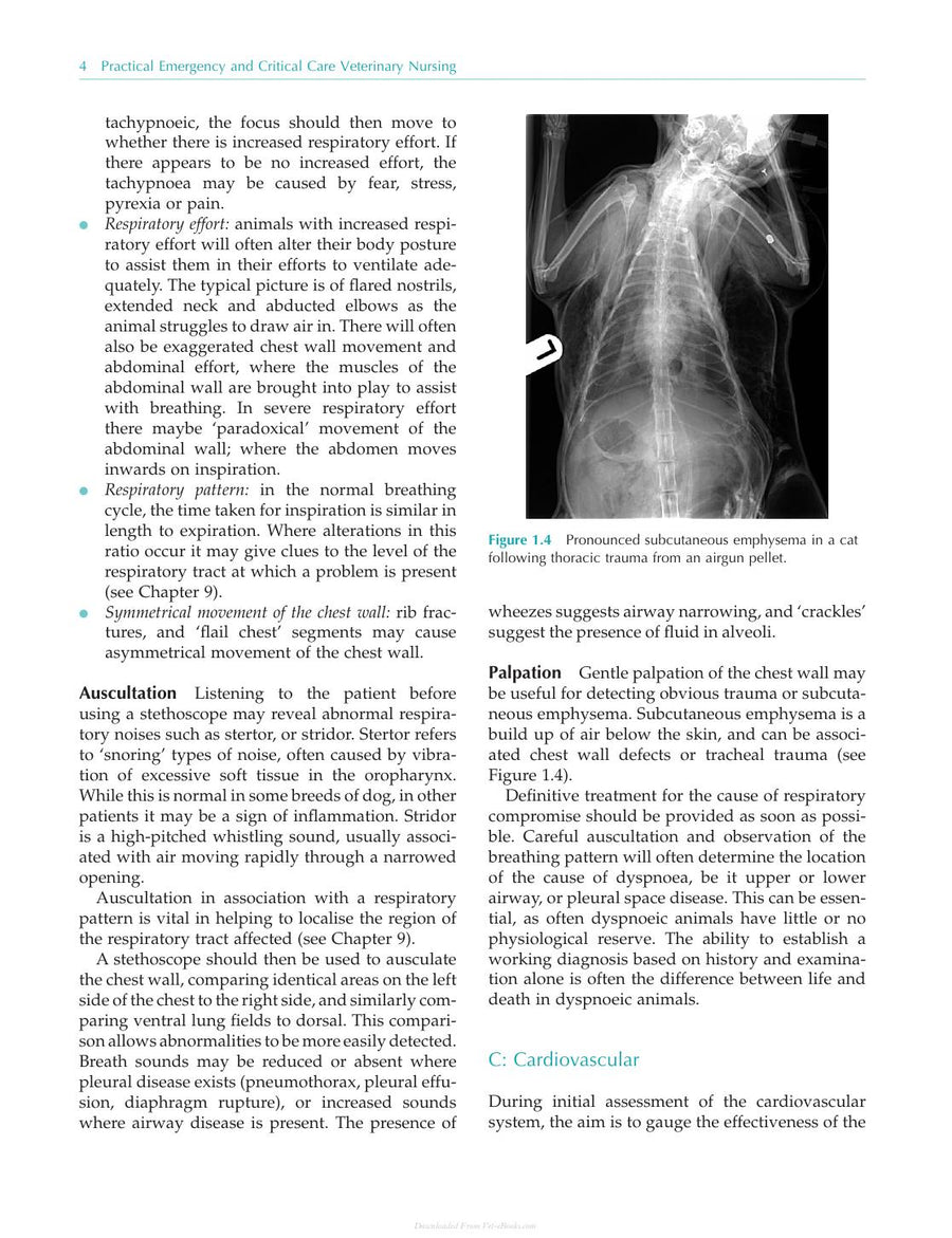 Preview page of Practical Emergency and Critical Care Veterinary Nursing