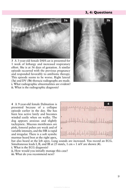Small Animal Cardiopulmonary Medicine Self Assessment Color Review