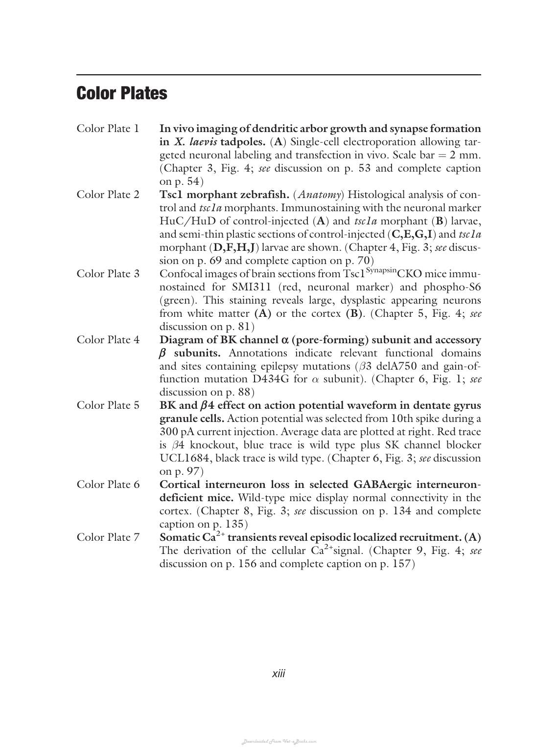 Animal Models Of Epilepsy Methods And Innovations