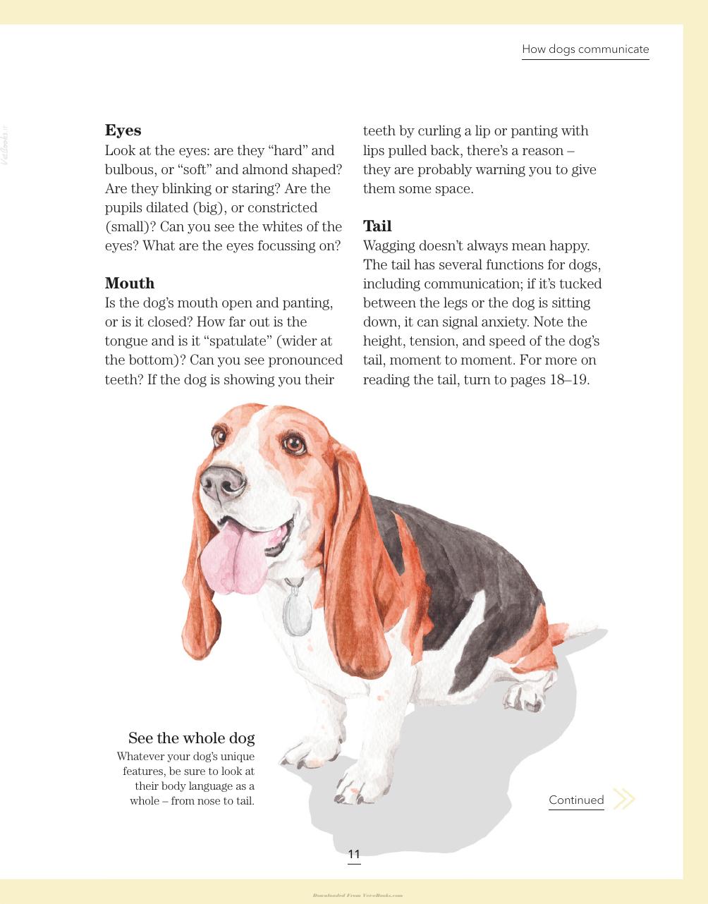 Whats My Dog Thinking Understand Your Dog To Give Them A Happy Life