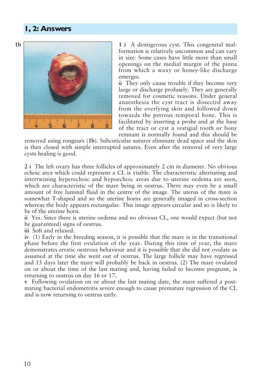 Look inside — page 11