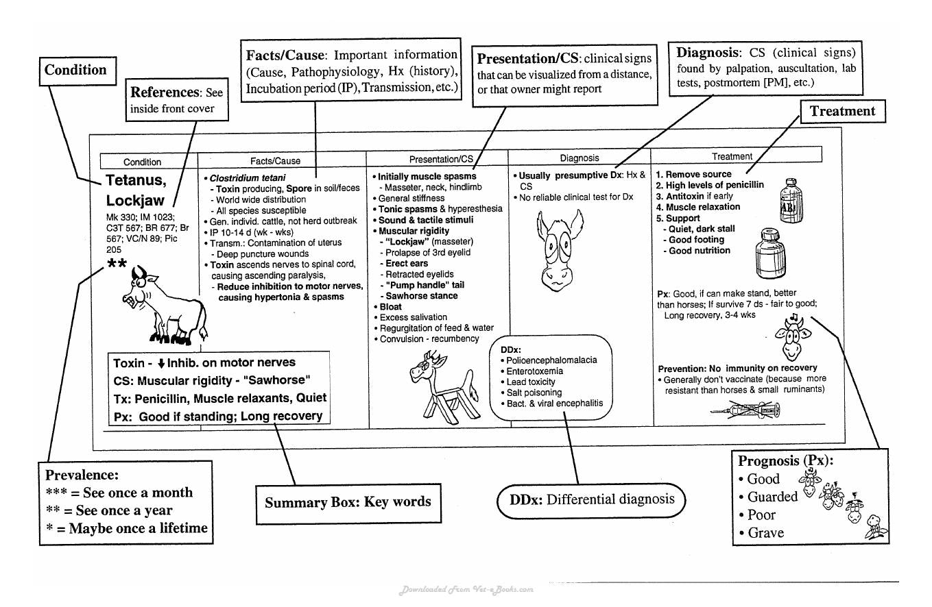 Guide To Bovine Clinics 4Th Edition