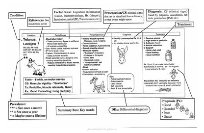 Guide to Bovine Clinics 4th Edition