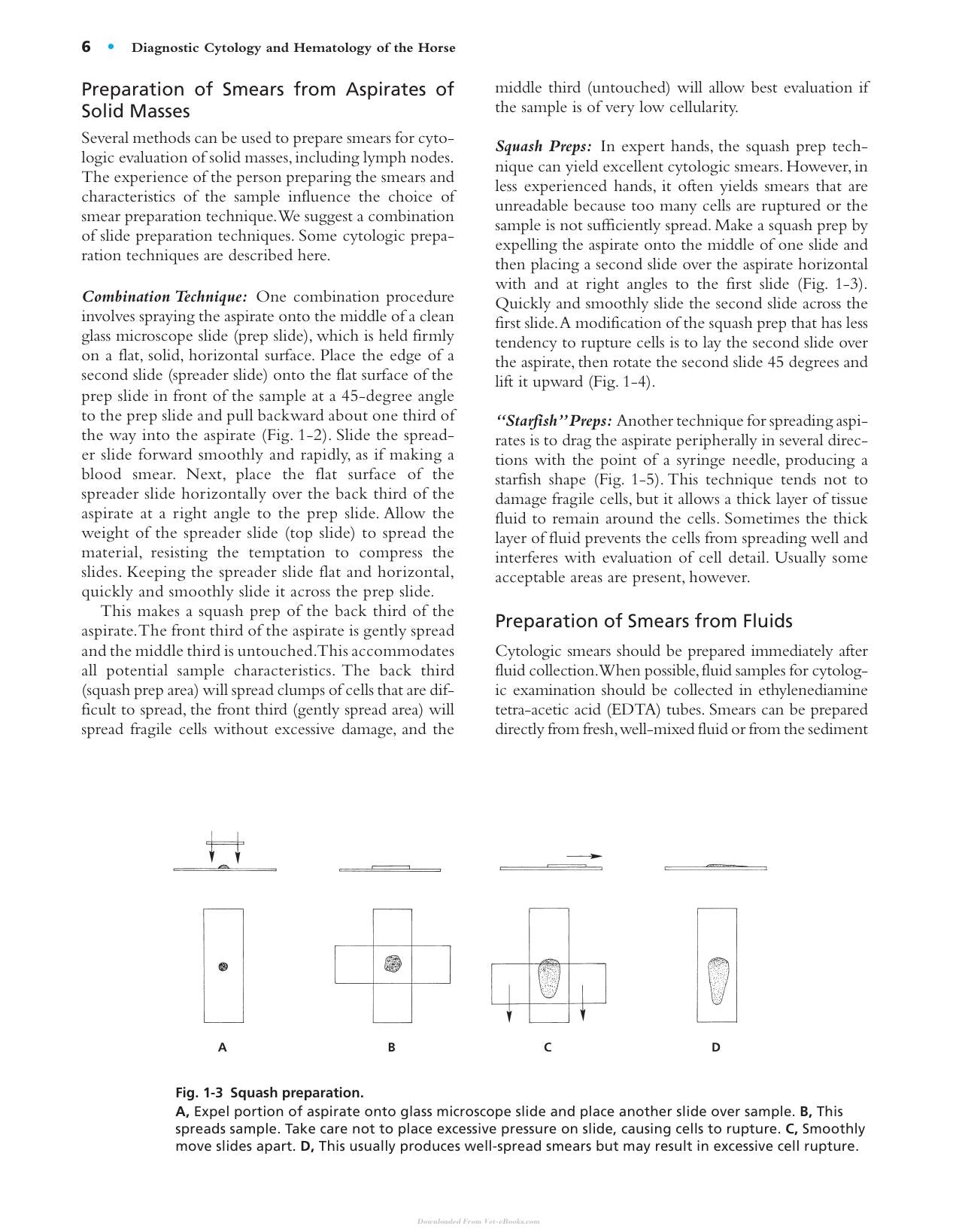 Diagnostic Cytology And Hematology Of The Horse 2Nd Edition