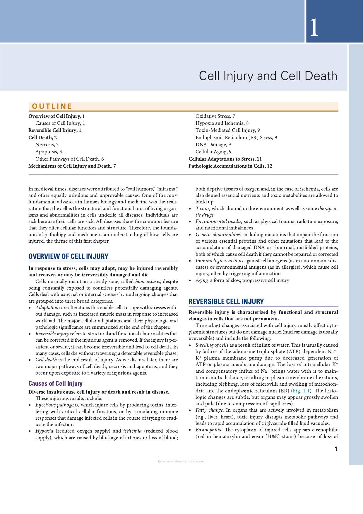 Robbins Essential Pathology