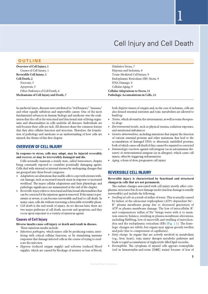 Robbins Essential Pathology