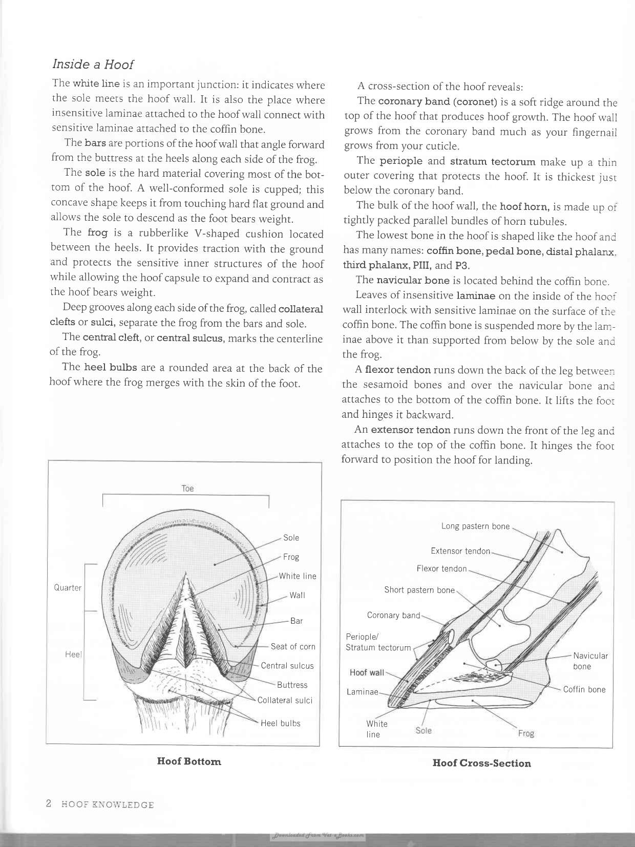 Look inside — page 11