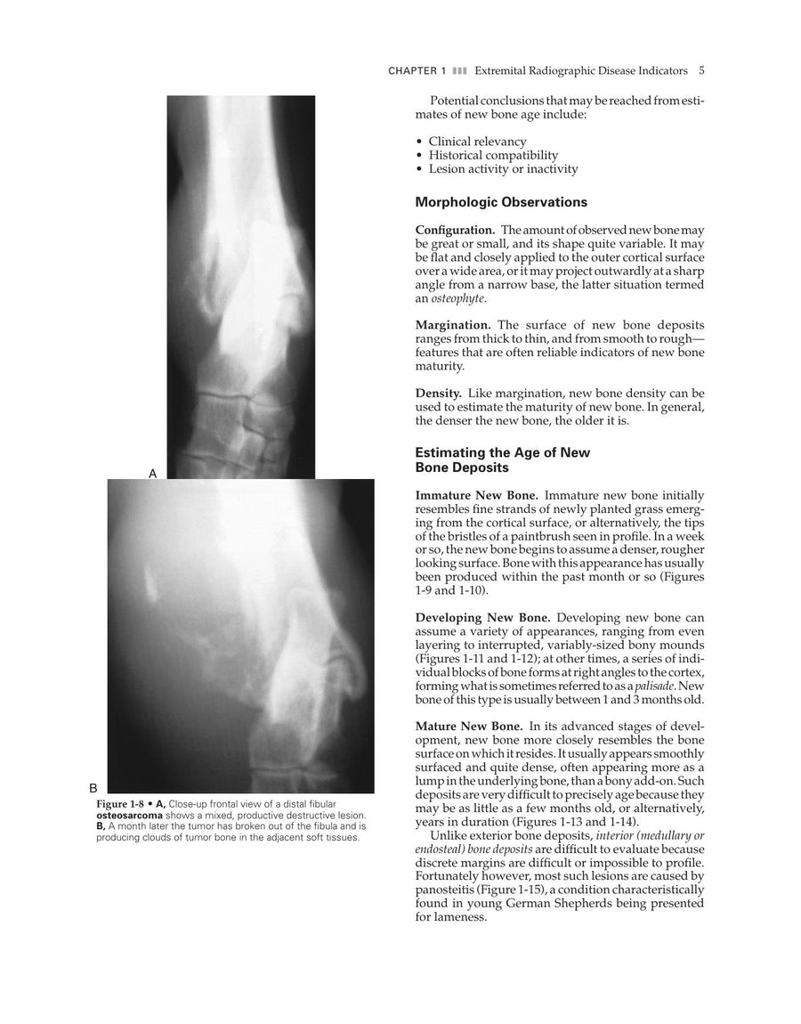 Preview page of Veterinary Diagnostic Imaging the Dog and Cat